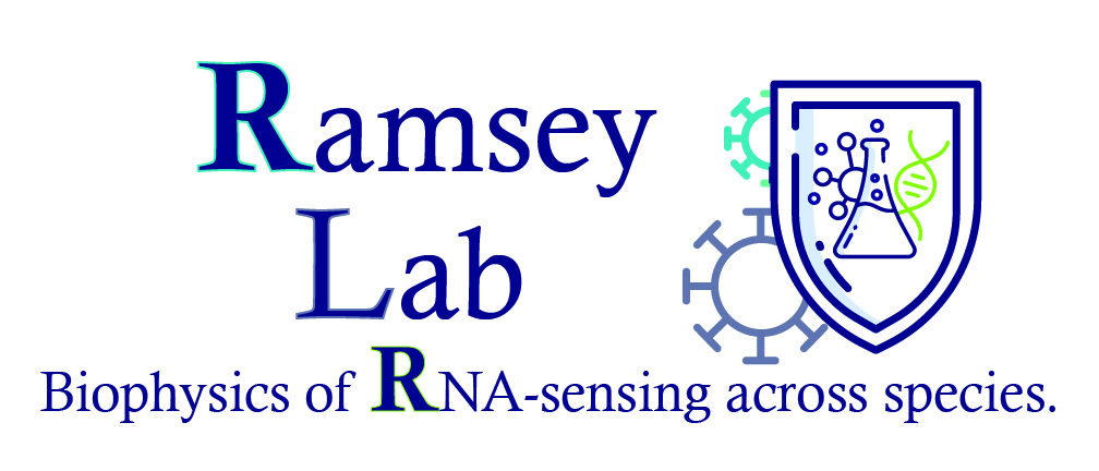 Ramsey Lab: Biophysics of RNA-Sensing across species